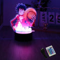 One Piece Luffy & Zoro 3D LED Lamp Action Figures – Anime PVC Collection Model Gift